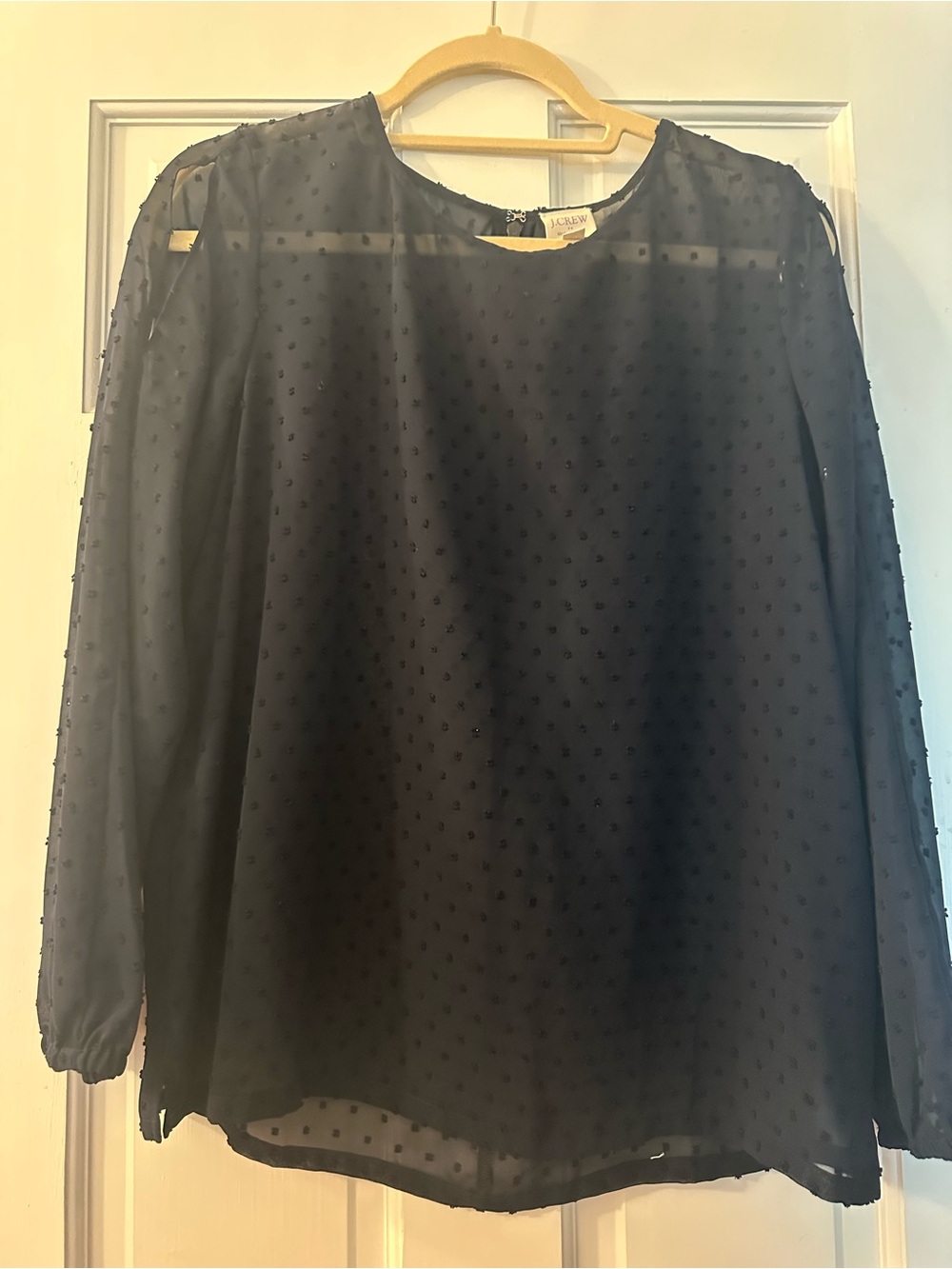 J. Crew Navy Swiss Dot Sheer Long Sleeve Blouse